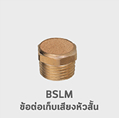BSLM ข้อต่อเก็บเสียง หัวสั้น ฟิตติ้ง sliencers